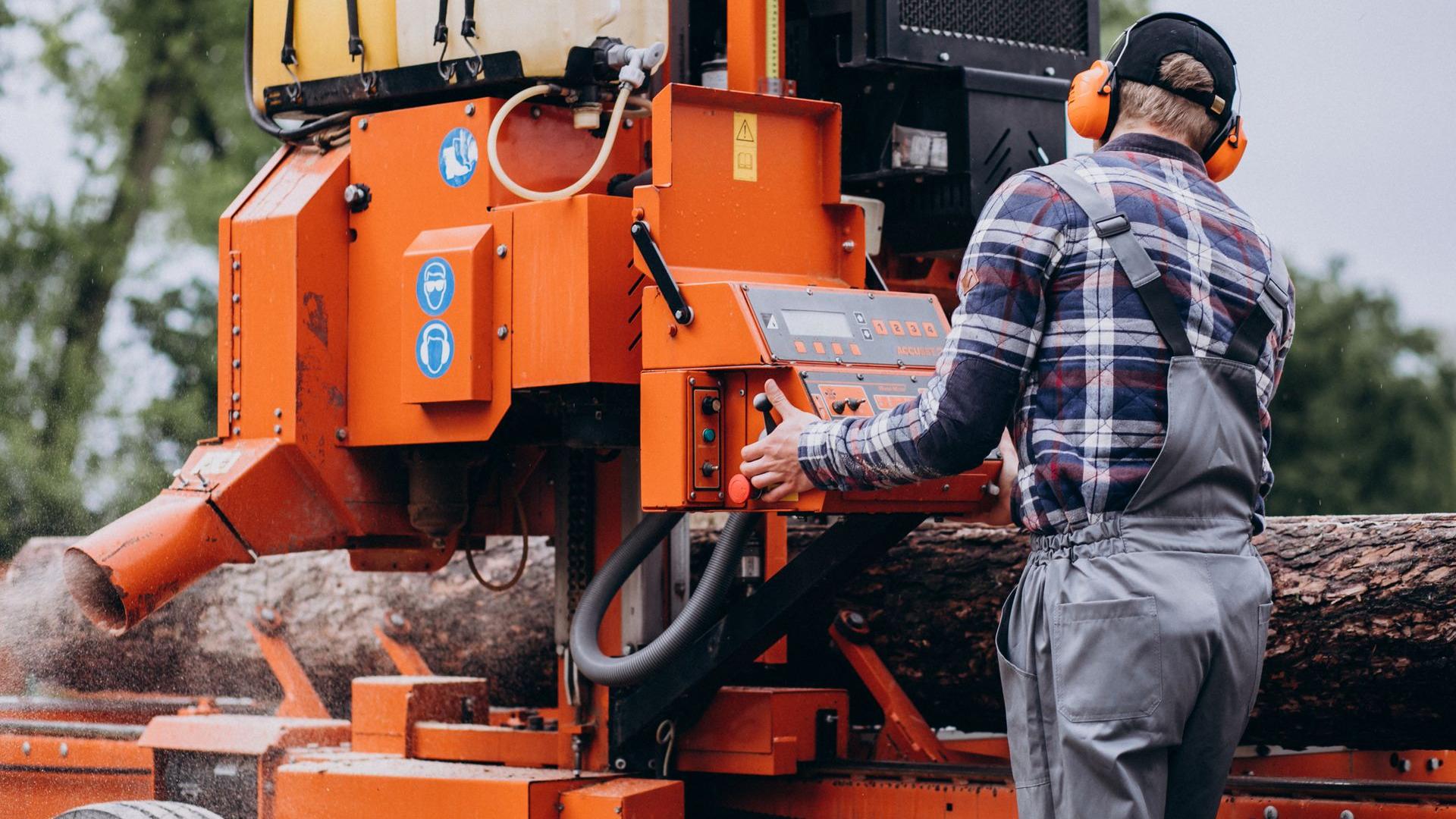 Foto 1 Fotografía 1